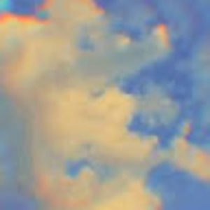 Meet your Posher, Daphne